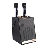 سماعة كاريوكي محمولة من مايكردجت – صوت قوي MD675PS