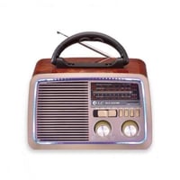 راديو زمان متنقل يدعم البلوتوث قابل للشحن DLC-3221...