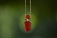 عين الهر أحمر