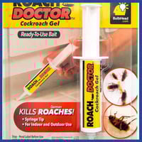 جل الصراصير دكتور روتش