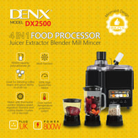 خلاط منزلي 4 في 1 من دينكس DX2500