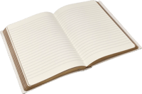 دفتر بحواف ذهبية من سلسلة توب - 176 ورقة