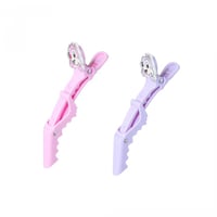 مشابك الشعر الاحترافية من سلسلة تشيب و ديل - قطعتا...