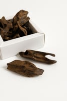 عود كلمنتان - عود كلمنتان المحسن