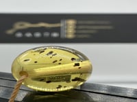 سبحة سندلوس محشرة بالنمل عدد الخرز 45