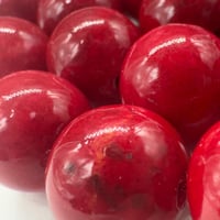 سبحة مرجان طبيعي حر مع عينة من المرجان