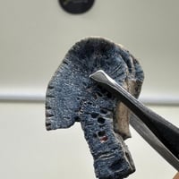 سبحة المرجان ازرق حر طبيعي النادر مع عينة طبيعية م...