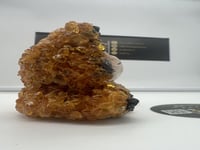 تحفة ملبس كهرمان الوزن 85 غرام