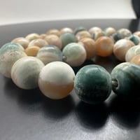 سبحة صدف بحري طبيعي حر