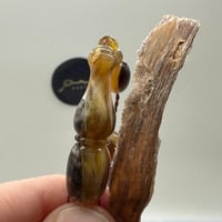 سبحة ترسة ظهر سلحفاة طبيعي مع عينة طبيعية وشهادة ا...