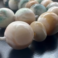 سبحة صدف بحري طبيعي حر