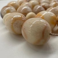 سبحة مرجان ابيض حر طبيعي مع عينة طبيعية من المرجان