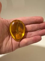 تحفه تراب كهرمان محشي بعقرب طبيعي