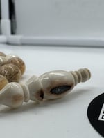 سبحة قرن الغزال الاوربي