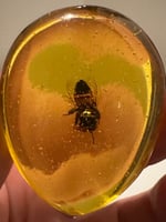 تحفه تراب كهرمان محشي بنحل