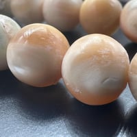 سبحة صدف بحري طبيعي حر