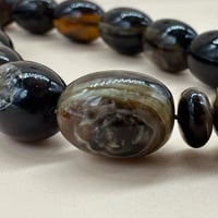 سبحة ترسة ظهر سلحفاة طبيعي مع الكسار