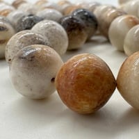 سبحة قرن الغزال الاوربي مع عينة طبيعية من قرن الغز...