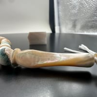 سبحة صدف بحري طبيعي حر