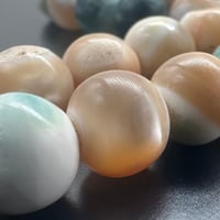 سبحة صدف بحري طبيعي حر