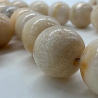 سبحة مرجان أبيض طبيعي حر معي عينة طبيعية من المرحا...