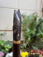 عصى رجالي من خشب الفنجي ورأس الخيل مستكة