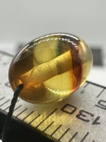 سبحة كهرمان بلطيقي حر عدد الخرز 45