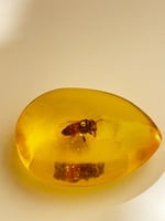 تحفه تراب كهرمان محشي بنحل