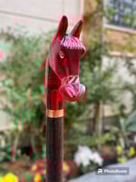 عصى رجالي من خشب الفنجي ورأس الخيل مستكة