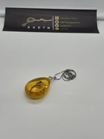 تحفة تراب كهرمان محشي عقرب حقيقي