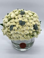 مون بلوم أبيض