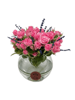 همسة الافندر