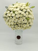 فازة النقاء