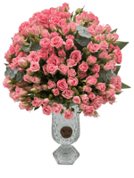 وردة الرياض الفاخرة