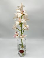 زهرة الأوركيد