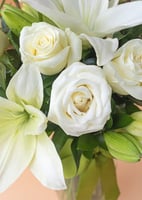 فازة السلامة