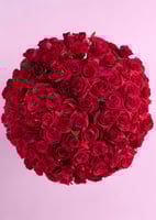 100 وردة الفاخرة