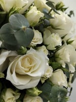 فازة السلامة