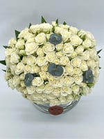 مون بلوم أبيض