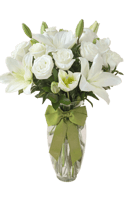 فازة السلامة