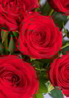 فازة الليلة