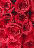 الخمسون وردة