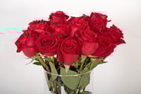 فازة وردة الفاخرة