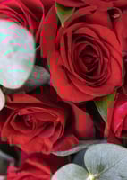 بوكيه كل مانسنس