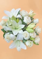 فازة السلامة