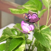 حوض كونكريت حجم وسط ( بالاسم او العبارة )