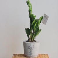 حوض كونكريت حجم وسط ( برسمة لـ يد المولود و الام و...