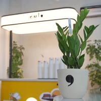 حوض فخار رسم اللوقو او الشعار