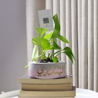 حوض كونكريت حجم صغير بألوان مختلفة