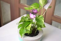 حوض كونكريت (ربِ أنزلني مُنزلاً مباركاً وأنت خير ا...